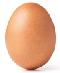 Eggs Images, Stock Photos &amp; Vectors | Shutterstock